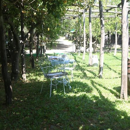 Appartamento Emy'S Country House Castellammare di Stabia Esterno foto