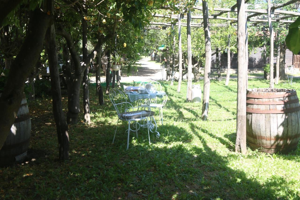 Appartamento Emy'S Country House Castellammare di Stabia Esterno foto