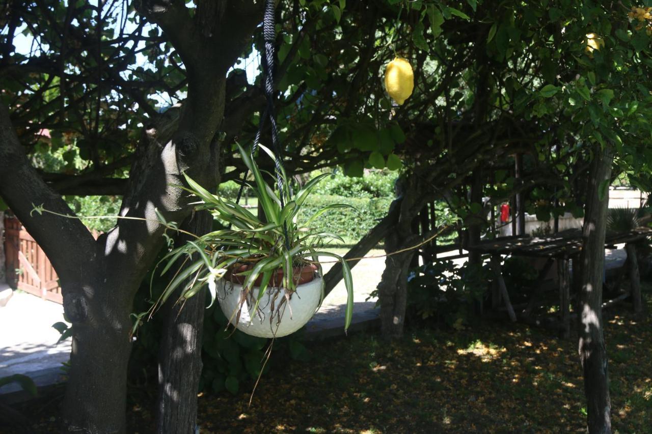 Appartamento Emy'S Country House Castellammare di Stabia Esterno foto